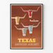 Vintageposter Texas American Airlines väggdekoration