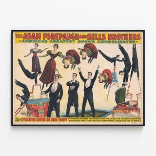 the-great-livingstone-davene-de-mora-troupe-of-champion-acrobats-posturers-and-hand-balancers