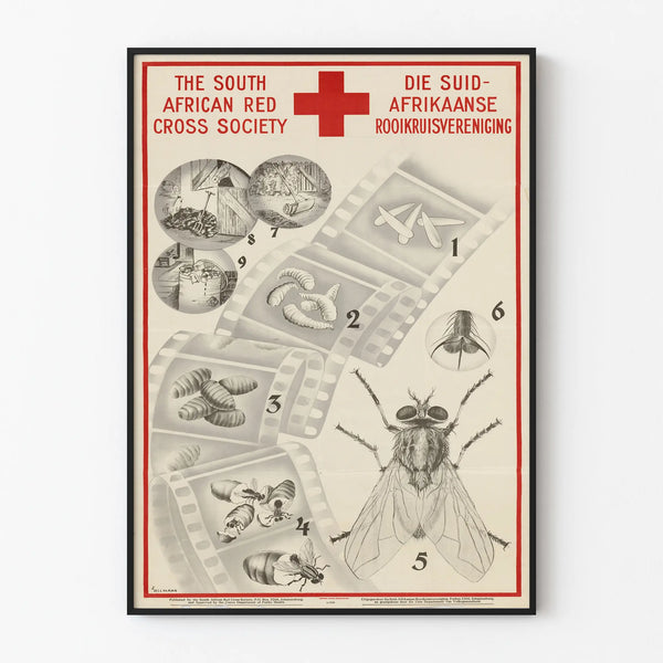 the-south-african-red-cross-society