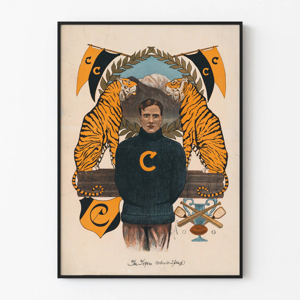 the-tigers-colorado-springs