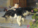 Le petit garçon au chien - Étienne Dinet — vy av konstverket
