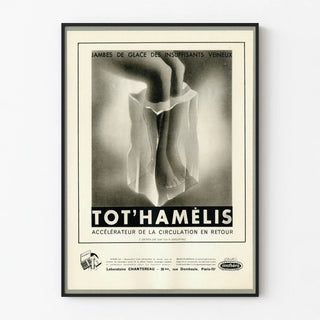 tothamelis-8