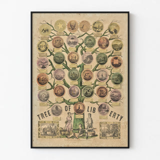 tree-of-liberty