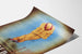 Vintage reklamposter UVÉSTÉROL väggdekoration retro