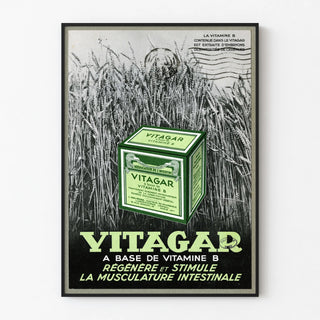 vitagar-2