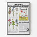 Vintage botanisk poster Plantenrijk - Natur- och vildväxande väggdekoration