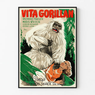 white-pongo