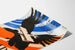 Vintageaffisch Wings - Retrobiografiväggdekoration