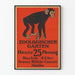 Vintageposter från Zoologischer Garten med apa på röd bakgrund – Originell väggdekoration